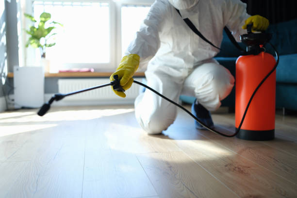 Reliable Odor Removal contractor in Wayne, NJ by Trauma Clean Pros